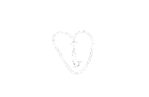 Hesychia Press Logo